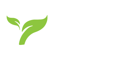 Dubai Slimmer